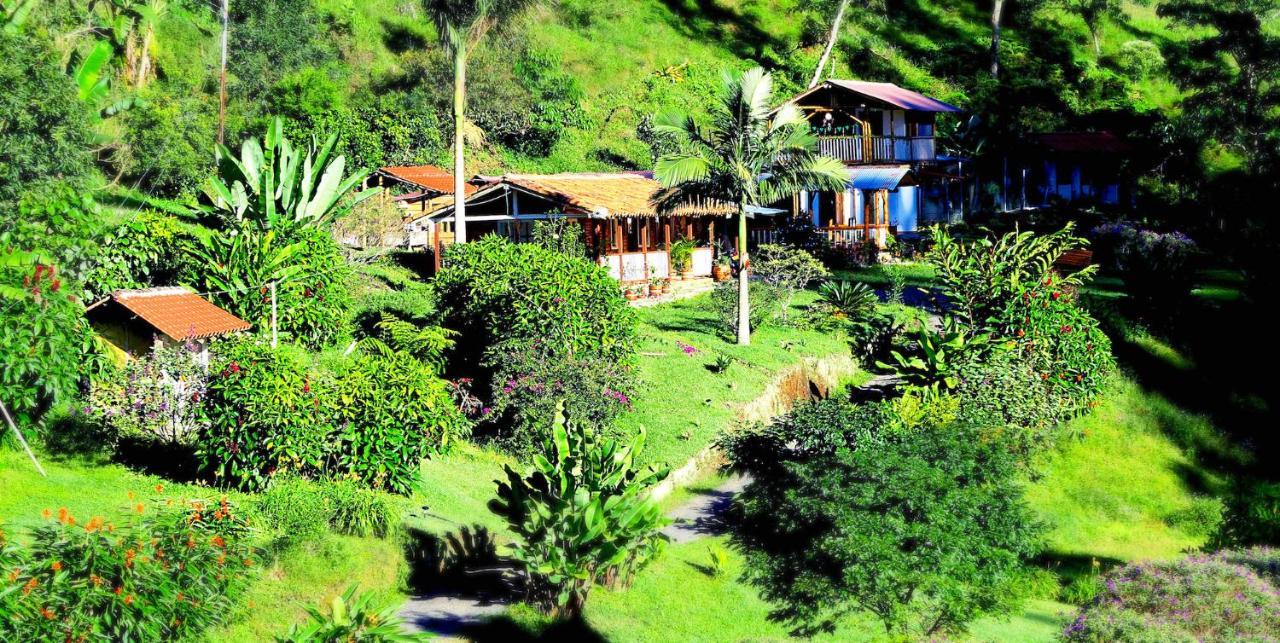 Ecolodge Puente Explanacion Salento Eksteriør bilde