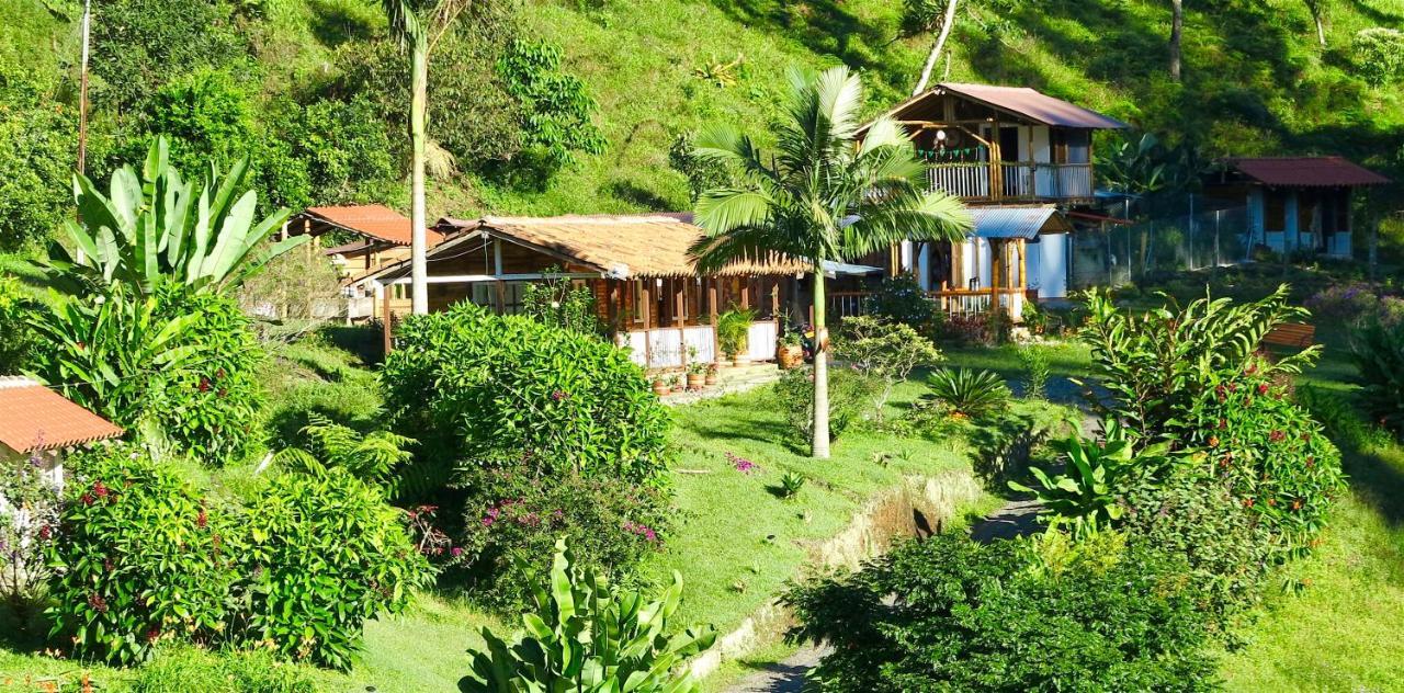 Ecolodge Puente Explanacion Salento Eksteriør bilde