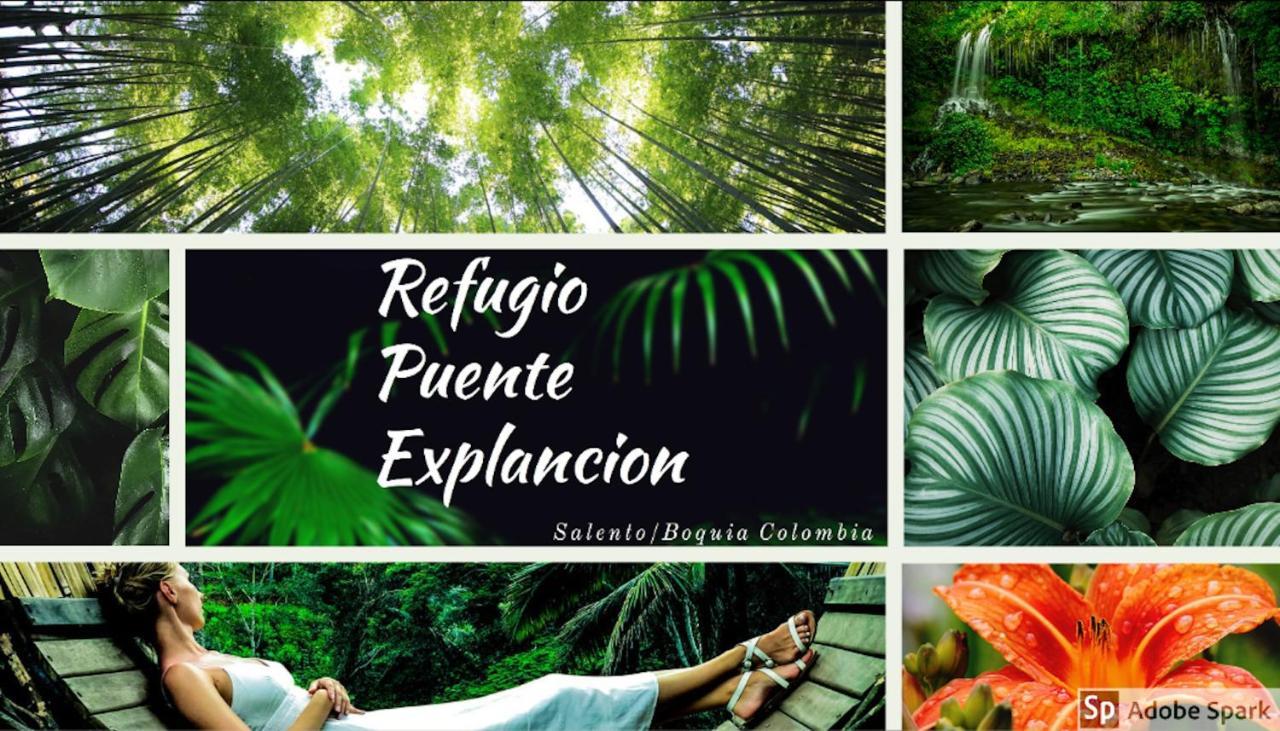 Ecolodge Puente Explanacion Salento Eksteriør bilde