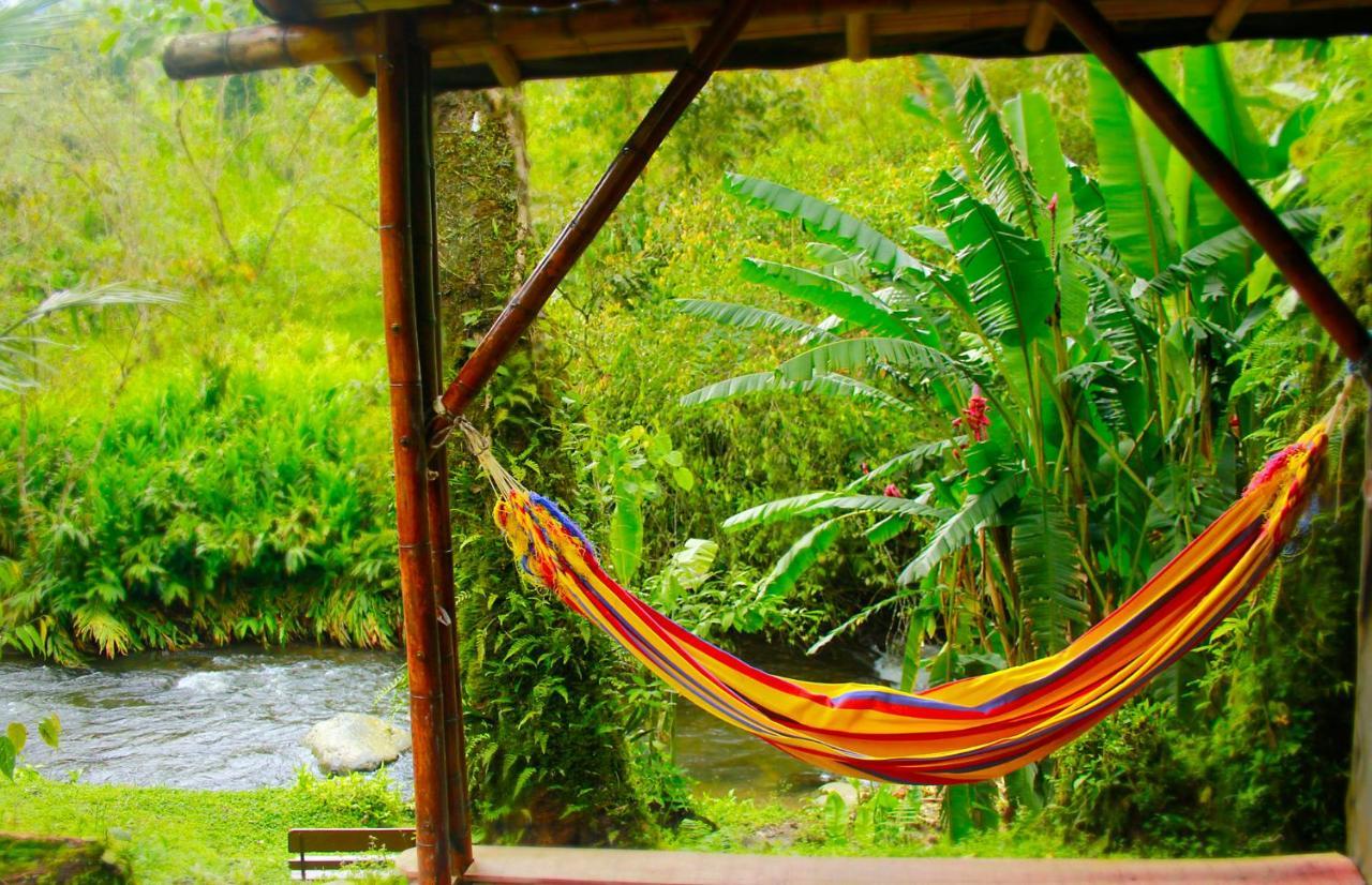 Ecolodge Puente Explanacion Salento Eksteriør bilde