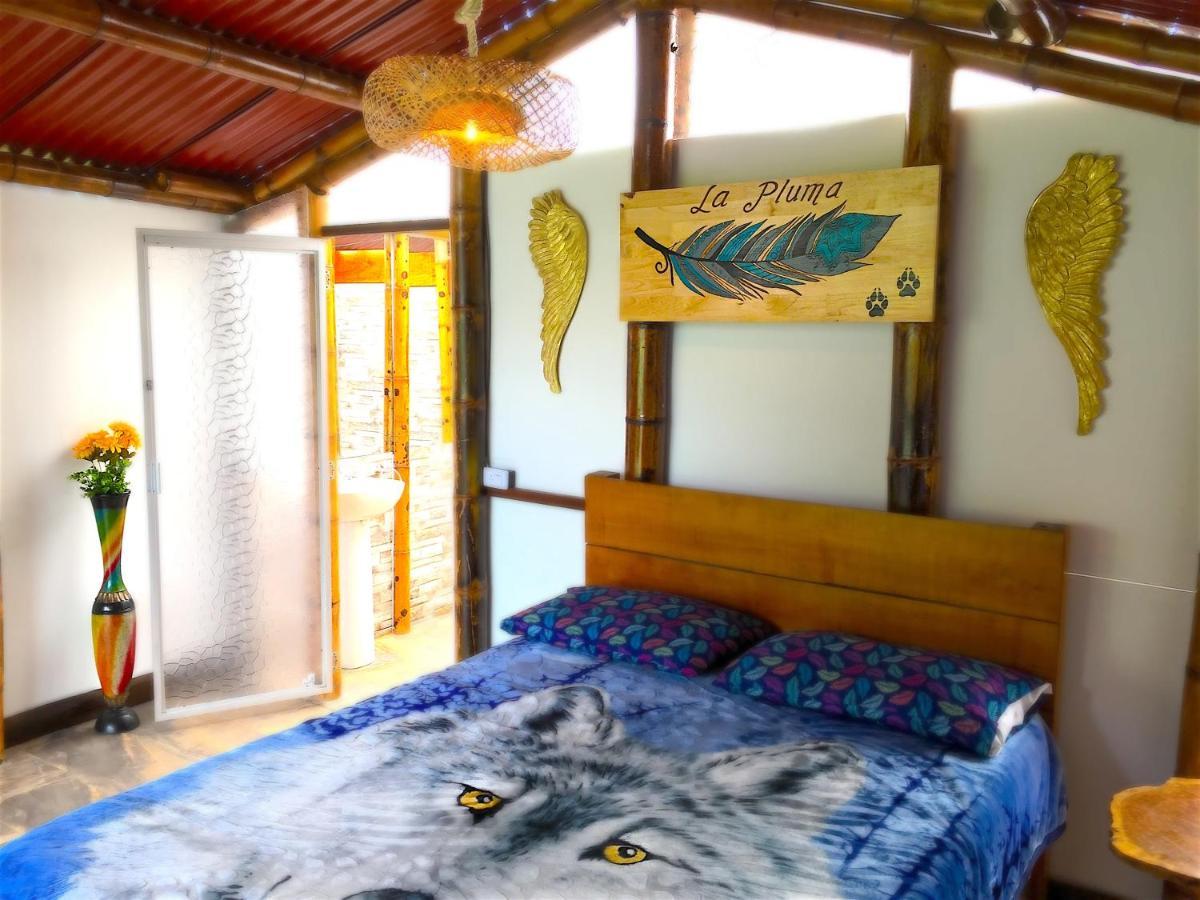 Ecolodge Puente Explanacion Salento Eksteriør bilde